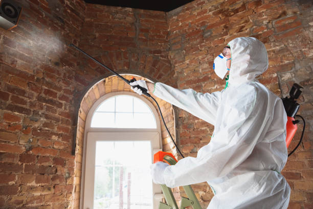 Why You Should Choose Our Mold Remediation Services in Milledgeville, GA